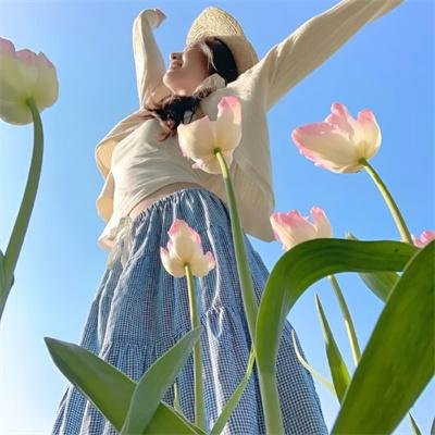 精灵高中:逃离骷髅海岸 封面
